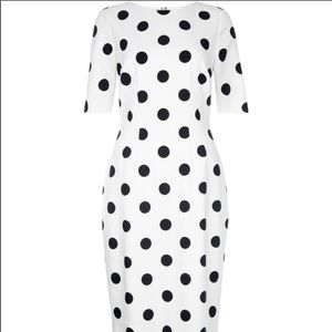 Hobbs Polka Dot Sheath Sz 6